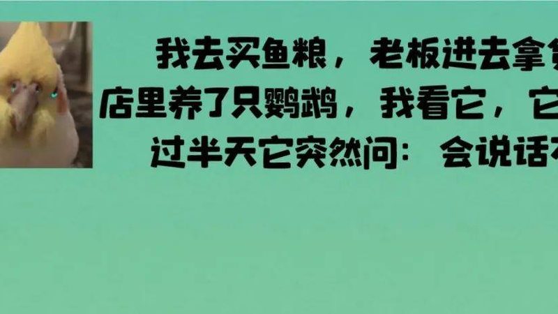 面粉参数解码：做面包时如何挑选合适的面粉**