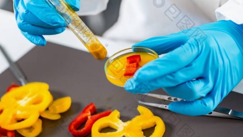 餐饮供应链食材分类清单批发价格